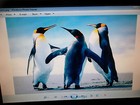 Lot-10 Dell Ultrasharp 1908fp-blk 19  Lcd Monitor  square  Black Vga Dvi-d 800 1