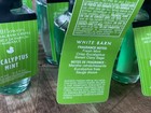 10  ten  Eucalyptus Mint Wallflowers Bulb Refill Bulbs Bath And   Body Works
