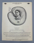 1910 Baseball Catchers Mitts Diamond Advertising St Paul Saints St Louis Browns