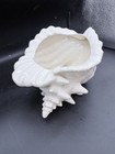 Atlantic Mold Pale Yellow Conch Shell Planter 10  Mcm Vintage