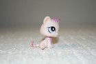 Authentic Littlest Pet Shop Lps Kitten  1481   Puppy  1482 - Pet Pairs - Hasbro