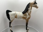 Peter Stone Dah 2014 Equilocity Model Horse Appaloosa Arabian Buckskin