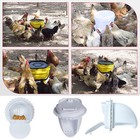10pcs Chicken Feeder Automatic Feeders No Waste Port For Feeding