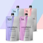Shiseido Crystallizing Hair Straightener  1h   Neutralizer 400g   promotion