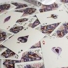 Aves Playing Cards Collectible Luxury Bicycle Playing Cards Brand New In Plastic