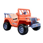 Kids Ride On Toy Bluey Jeep Off-road Car 12v Battery Powered Music Sounds