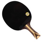 Dhs 9002 Paddle Table Tennis Racket 5 2 9 Star Long Handle Ping Pong Sports Gift