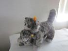 Steiff Mother Cat Holding Baby In Her Mouth Both Have Button   Tag