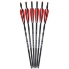 Crossbow Bolts Carbon Shaft Arrows  12 Black Broadheads 100 Grain Target Hunting