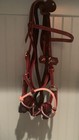 New Ranch Combination Bridle Professionals Choice - Step Up From Sidepull W Bit