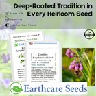 Earthcare Seeds True Comfrey 50  symphytum Officinale  Non Gmo  Green