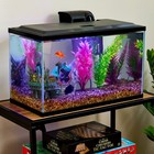 10 Gallon Glass Aquarium Kit With Blue Led Light Filter Small Fish Starter Setup