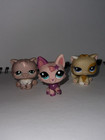 Littlest Pet Shop Lot Of 3 Random Authentic Cat Figures