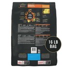 Purina Pro Plan Complete Essentials Salmon   Rice Adult Dry Cat Food  16 Lb