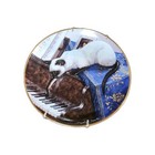 Franklin Mint Cat Piano Plate By Daphne Baxter     Rare Vintage 1995 Collectable
