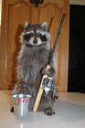 New Fishing Raccoon Mount Taxidermy Antler Novelty Whitetail Deer Fur Opossum