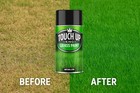 Grass Shrub   Landscaping Pristine Green Aerosol Spray Paint Can