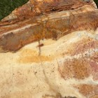Liberty Ledge Agate opal jasper Rough Faced Specimen  2 8lb  l16 