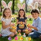 72 Pcs Easter Rubber Ducks - Bathtub Toys  Party Favors  Game Prizes  Decoration