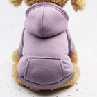 Dog Cat Hoodie Pet Warm Autumn Winter Coat Solid Color Cotton Dog Clothes With P