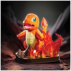 4d Build  Pok  mon Charmander 3d Model Kit  One Size  Multicolor 