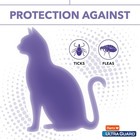 Hartz Ultraguard Purple Flea   Tick Collar For Cats And Kittens - 7 Month Protec