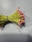 Vintage Yellow Double Ended Stamens With Pink Tip Made In Japan 