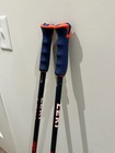 Leki Spitfire Hts 6 5 Ski Poles