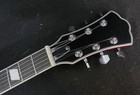 Johnson Jh-100 Delta Rose Hollow Body Single Cutaway Electric Guitar Wineburst