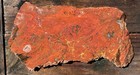 Fault Creek Jasper Rough Slab Lane County Oregon Lapidary Cabbing