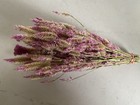 Pencil Celosia   Pink   Dried Flowers Bunch Bouquet Bundle   Usa