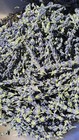 Dried Lavender Flower Buds - Culinary Grade Herb For Tea  Baking  Crafts