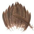 24pcs Natural Male Ringneck Pheasant Tail Feathers 6-8  For Crafts   Diy Decor