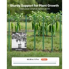 Uimoso Garden Stakes For Plants  50 Pack  46-inch Plastic-coated Metal Supports
