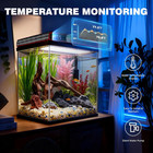 5 Gallon Glass Fish Tank  Aquarium Starter Kit  Simpel Self-cleaning Aquarium Ki