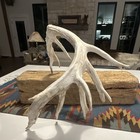 Large Whitetail Deer Antler Shed Taxidermy Single Antler Horn Piece