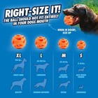 Chuckit  Air Fetch Ball