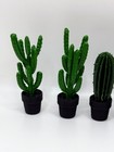 Miniature Potted Cactus Set 5 Pcs Dollhouse 1 6 1 12 Fairy Garden Plants