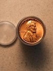 Roll Of Philadelphia Mint Wheat Pennies  1909-1958  All 49 Dates No Duplicates  