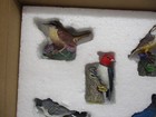 Mbi Danbury Mint Sweet Serenade Bird Figurine Collection Kingbird Woodpecker