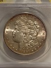 1891 S Morgan Silver Dollar Anacs Au55 Better Date Morgan nice Light Toning