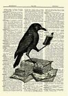 The Raven Edgar Allan Poe Dictionary Art Print Picture Print Victorian Bird Gift