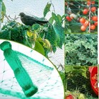 33ft X16ft Protection Netting Anti Bird Mesh For Crops Plants Pond Fruits Garden