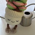 Greenhouse By Russ 10  Plush Succulents Plant  2024 Anthropomorphic Flower Pot