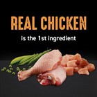 Grain Free Adult High Protein Natural Dry Cat Food With Protein From Chicken    