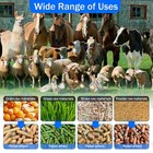 New Animal Pellet Mill Gasoline Feed Pellet Machine Animal Feed Mill Machine 125