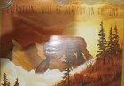 Weezer - 2014 Alright In The End - Double Sided Promotional Poster - 18  X 24  