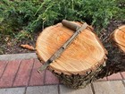 Ww2 Accessories Mg From The German Bunker Rare Relic 