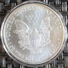 American Silver Eagle Coin 1 Oz Bu  1 Dollar Uncirculated Brilliant Random Year