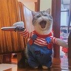 Funny Cat Clothes Halloween Cosplay Costumes For Small Medium Dog Cats Creative